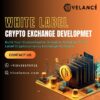 Get Your White Label Crypto Exchange Software at Low Cost