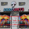 Buy Psychedelics Mushrooms online